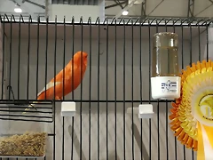 IMG_20170122_123611 IMG_20170122_123611