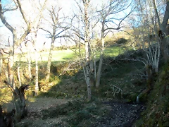 DSCN3011 DSCN3011