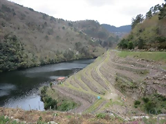 s vi?edos rio s vi?edos rio