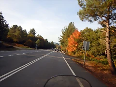 DSCN0524 DSCN0524