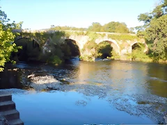 DSCN9747 DSCN9747