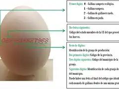 codigo-huevo