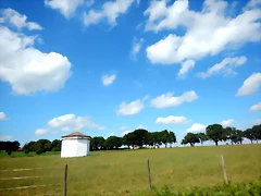 DSCN9056 DSCN9056