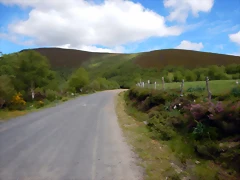 DSCN9379 DSCN9379