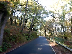 DSCN1025