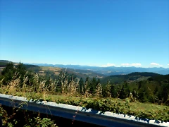 DSCN3895