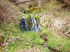 DSCN9045.JPEG DSCN9045.JPEG