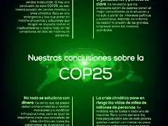 elplural-conclusiones-cop25