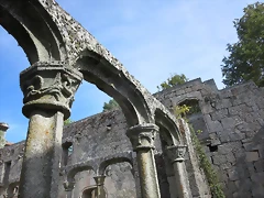 IMG_8441