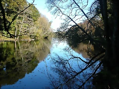 DSCN6368 DSCN6368