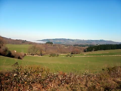 DSCN1118 DSCN1118
