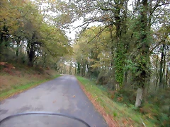 DSCN6248 DSCN6248