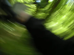 DSCN5771 DSCN5771