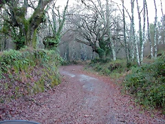DSCN7241 DSCN7241
