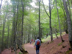 DSCN3892 DSCN3892