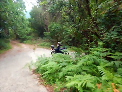 DSCN6283 DSCN6283