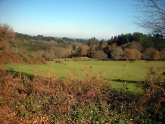 DSCN2152 DSCN2152