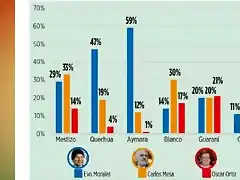 BoliviaElecciones2019-1