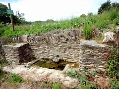 DSCN4334 DSCN4334