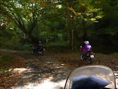 DSCN8666 DSCN8666