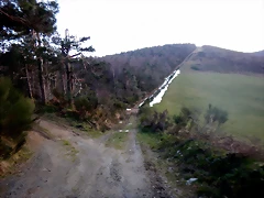 DSCN2937 DSCN2937