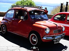 CAS_3917