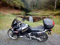 DSCN1846 DSCN1846