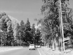 IMG-20201122-WA0043