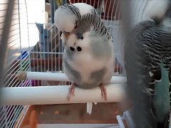 20191107_162210