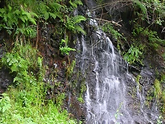 DSCN2230 DSCN2230