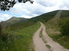 DSCN2252 DSCN2252