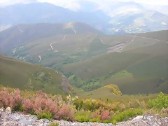 DSCN2264 DSCN2264