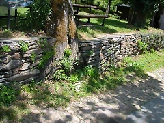 DSCN2160 DSCN2160