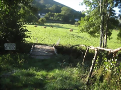 IMG_0961 IMG_0961