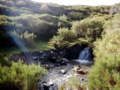 DSCN1362 DSCN1362