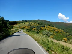DSCN2382 DSCN2382