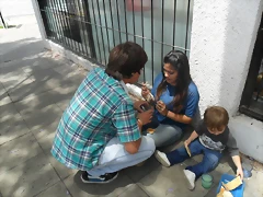 SAM_0667 SAM_0667