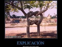 CR_547307_explicacion