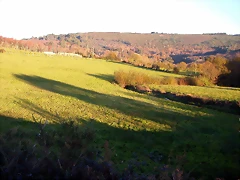 DSCN6664 DSCN6664