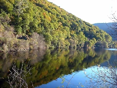 DSCN6495 DSCN6495