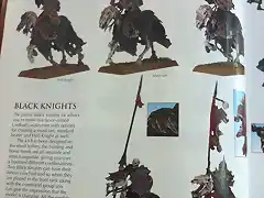 Black-Knights