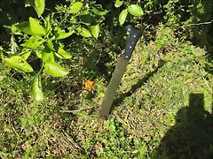 IMG_20250421_165713