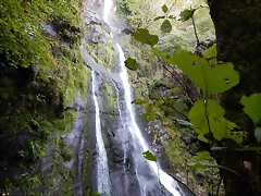 DSCN8732 DSCN8732