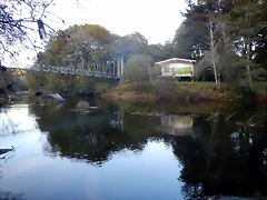 DSCN8985 DSCN8985