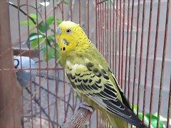 20170725_130848 20170725_130848