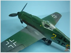 fw-190 - 07 (3)