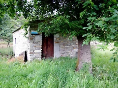 DSCN4583 DSCN4583