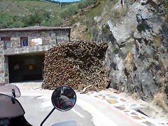 P1070230 P1070230