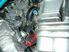 DSCN6407