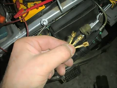 DSCN1302 DSCN1302
